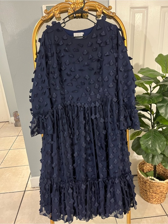 Dainty Jewells Dresses & Skirts - Dainty Jewells Navy Textured Appliqué Ruffle Dress